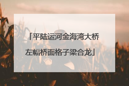 平陆运河金海湾大桥左幅桥面格子梁合龙