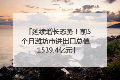 延续增长态势！前5个月潍坊市进出口总值1539.4亿元