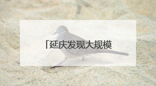 延庆发现大规模北京水毛茛群落