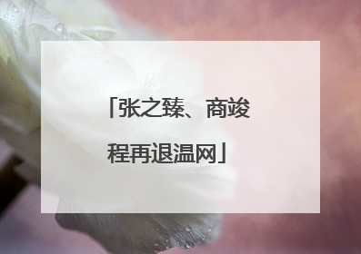 张之臻、商竣程再退温网