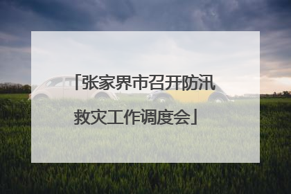 张家界市召开防汛救灾工作调度会