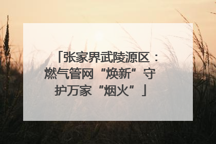 张家界武陵源区：燃气管网“焕新”守护万家“烟火”
