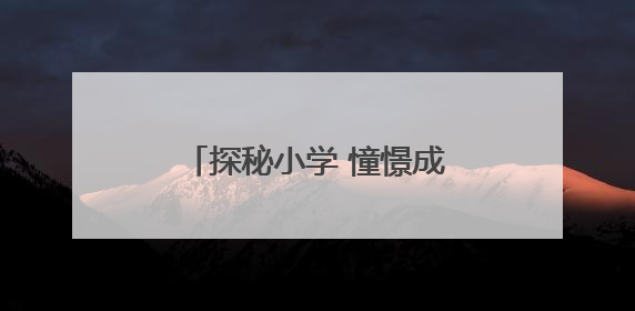 探秘小学 憧憬成长——襄阳市樊城区第二幼儿园衡庄分园幼小衔接班走进小学开展参观体验活动