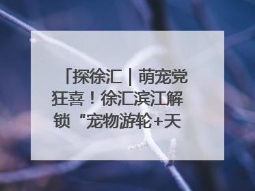 探徐汇｜萌宠党狂喜！徐汇滨江解锁“宠物游轮+天台乐园”双玩法