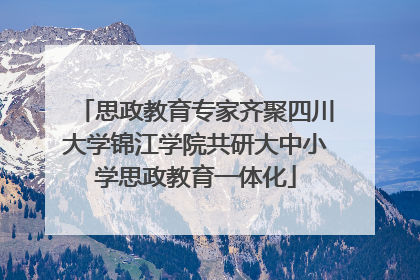 思政教育专家齐聚四川大学锦江学院共研大中小学思政教育一体化