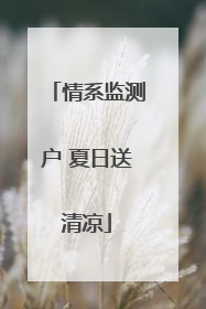 情系监测户 夏日送清凉