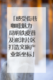 感受街巷咖啡魅力 昆明铁皮巷及巡津片区打造文旅产业新坐标