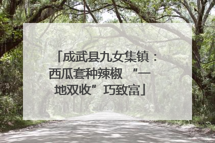 成武县九女集镇：西瓜套种辣椒 “一地双收”巧致富