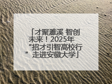 才聚濉溪 智创未来！2025年“招才引智高校行”走进安徽大学