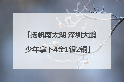 扬帆南太湖 深圳大鹏少年拿下4金1银2铜