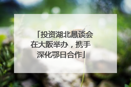 投资湖北恳谈会在大阪举办，携手深化鄂日合作