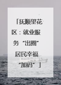抚顺望花区：就业服务“出圈” 居民幸福“加码”