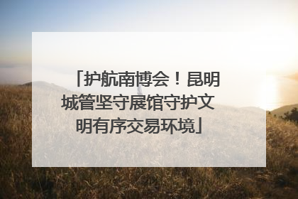护航南博会！昆明城管坚守展馆守护文明有序交易环境