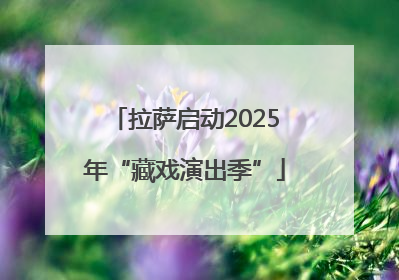 拉萨启动2025年“藏戏演出季”