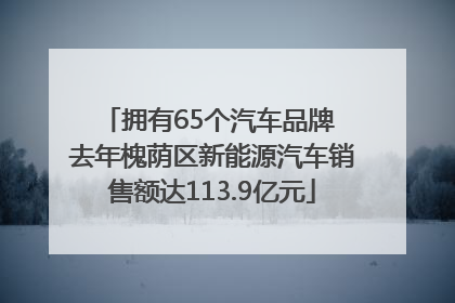 拥有65个汽车品牌 去年槐荫区新能源汽车销售额达113.9亿元