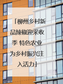 柳州乡村新品辣椒迎采收季 特色农业为乡村振兴注入活力