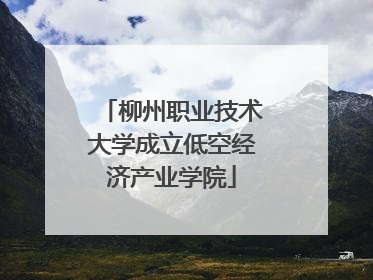 柳州职业技术大学成立低空经济产业学院