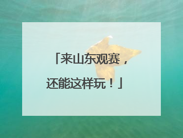 来山东观赛，还能这样玩！