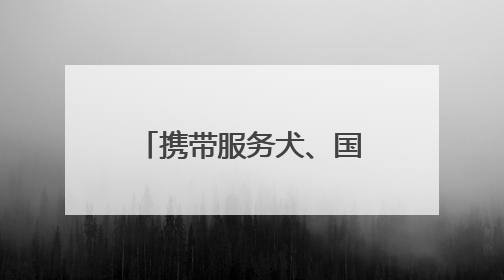 携带服务犬、国际客票预订……鸿蒙版中国国航让更多用户心愿成真