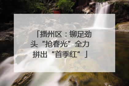播州区：铆足劲头“抢春光”全力拼出“首季红”