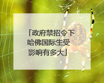 政府禁招令下 哈佛国际生受影响有多大