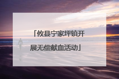 攸县宁家坪镇开展无偿献血活动