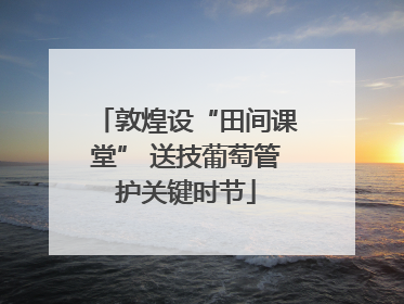 敦煌设“田间课堂” 送技葡萄管护关键时节