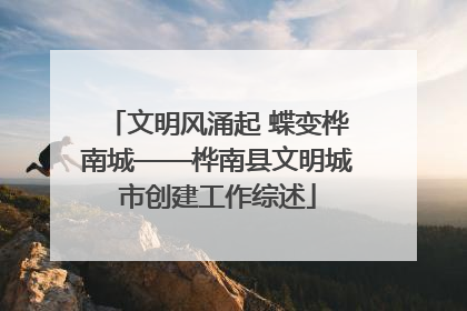 文明风涌起 蝶变桦南城——桦南县文明城市创建工作综述