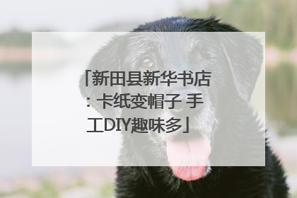新田县新华书店：卡纸变帽子 手工DIY趣味多