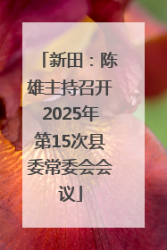 新田：陈雄主持召开2025年第15次县委常委会会议