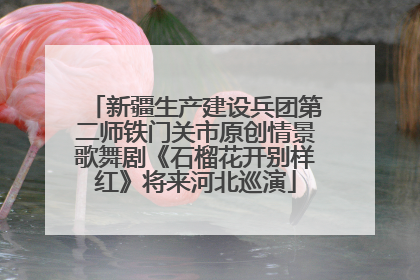 新疆生产建设兵团第二师铁门关市原创情景歌舞剧《石榴花开别样红》将来河北巡演