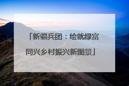 新疆兵团：绘就绿富同兴乡村振兴新图景