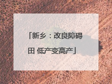 新乡：改良障碍田 低产变高产