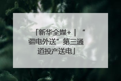 新华全媒+｜“疆电外送”第三通道投产送电