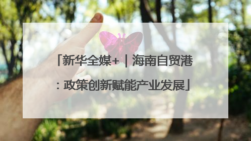 新华全媒+｜海南自贸港：政策创新赋能产业发展