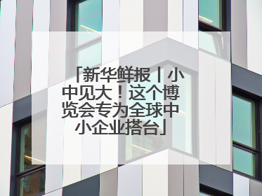 新华鲜报丨小中见大！这个博览会专为全球中小企业搭台