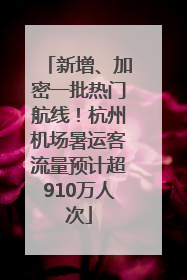 新增、加密一批热门航线！杭州机场暑运客流量预计超910万人次