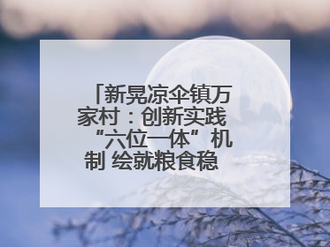 新晃凉伞镇万家村：创新实践“六位一体”机制 绘就粮食稳产增收新图景