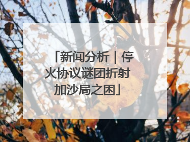 新闻分析｜停火协议谜团折射加沙局之困