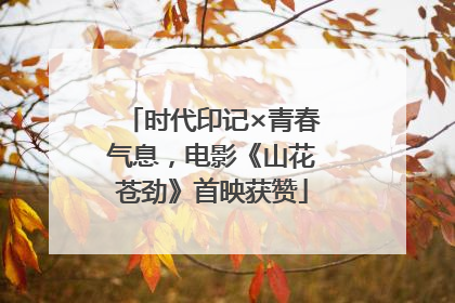 时代印记×青春气息，电影《山花苍劲》首映获赞