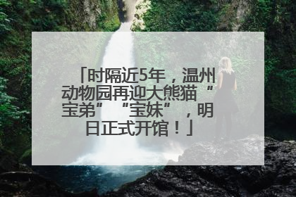 时隔近5年，温州动物园再迎大熊猫“宝弟”“宝妹”，明日正式开馆！