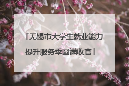无锡市大学生就业能力提升服务季圆满收官