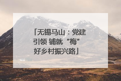 无锡马山：党建引领 铺就“梅”好乡村振兴路