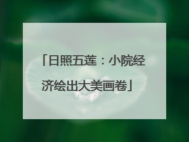 日照五莲：小院经济绘出大美画卷