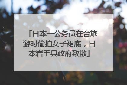 日本一公务员在台旅游时偷拍女子裙底，日本岩手县政府致歉