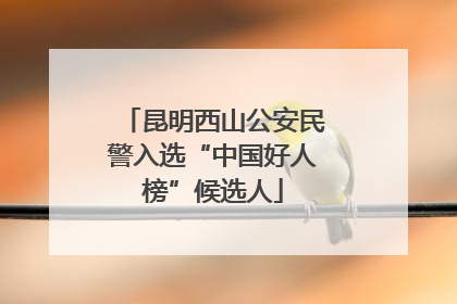 昆明西山公安民警入选“中国好人榜”候选人
