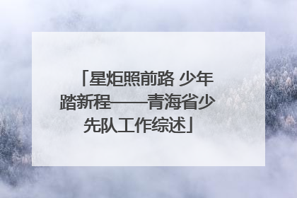 星炬照前路 少年踏新程——青海省少先队工作综述