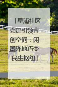 星浦社区党建引领青创空间：闲置阵地巧变民生枢纽