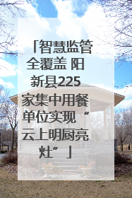 智慧监管全覆盖 阳新县225家集中用餐单位实现“云上明厨亮灶”