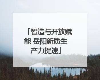 智造与开放赋能 岳阳新质生产力提速